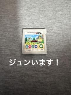 とびだせ どうぶつの森 Nintendo 3DS ソフトのサムネイル