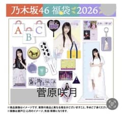 乃木坂46 2026年福袋A B C 19点 菅原咲月 - メルカリ