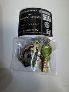 【新品】ツイステッドワンダーランドめじるしアクセサリー　ディアソムニア寮のサムネイル