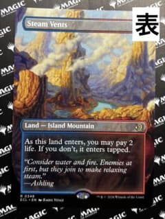 蒸気孔　１１枚　英語　MTG MTG 蒸気孔 ボーダーレス 英語版 - メルカリ