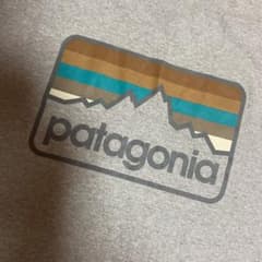 patagonia パタゴニア   メンズ　グレー　Tシャツ  古着のサムネイル