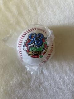 第93回全国高校野球選手権大会 優勝、準優勝記念ボール 第93回全国高校野球選手権大会 花咲徳栄 記念ボール - メルカリ