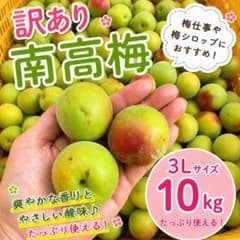 数量限定 訳あり 南高梅 3Lサイズ 10kg 梅仕事 梅シロップのサムネイル