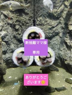 断捨離ママ様 専用のサムネイル