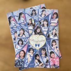 Dragons チアリーダーファイル（記念グッズ 2025） 2枚セットのサムネイル