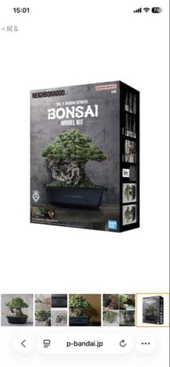 NEIGHBORHOOD SRL x BANDAI BONSAI 模型のサムネイル