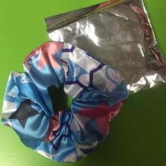 R指定  シュシュのサムネイル