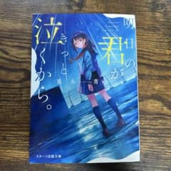 明日、君が、泣くから。 葦永青 スターツ出版文庫のサムネイル