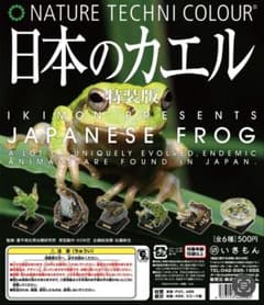 日本のカエル特装版　ニホンアマガエル新品未開封のサムネイル