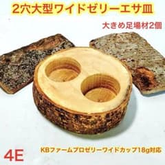 4E 大型2穴エサ皿 餌入れ 餌皿 クワガタ カブトムシ クワリウム 足場材