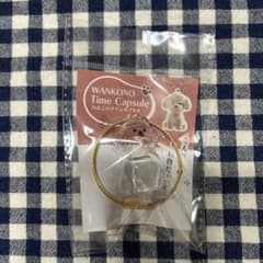 わんこのタイムカプセル　モカ　新品未使用のサムネイル