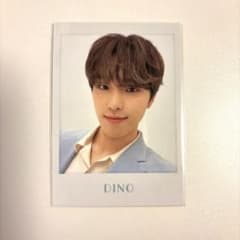 ディノ SEVENTEEN トレカ - メルカリ
