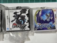 Pokémon Package & Game Card Keychain Collection