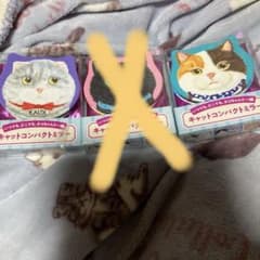 KALDI 猫のコンパクトミラー 2個セットのサムネイル