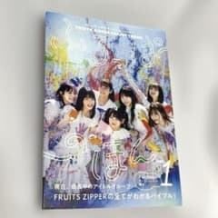 FRUITS ZIPPER PERFECTBOOK 「ふるっぱーのほん」のサムネイル