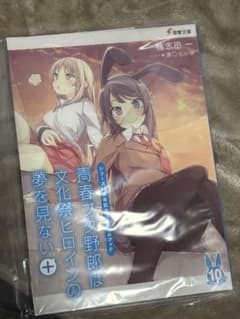 青春ブタ野郎は文化祭ヒロインの夢を見ない＋ - メルカリ