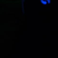 なのサムネイル
