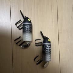 希少カラービックバドのサムネイル
