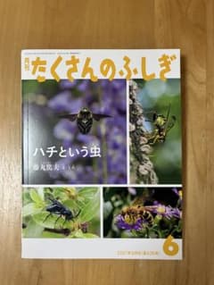 月刊 たくさんのふしぎ ハチという虫 藤丸篤夫2021年6月 - メルカリ