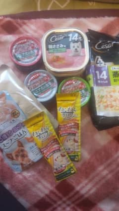 ドッグフードのサムネイル