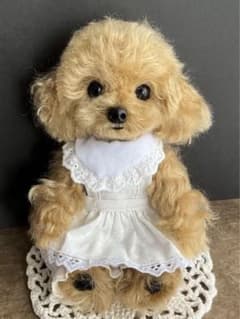 トイプードル　アプリコット　ぬいぐるみ　テディベアのサムネイル