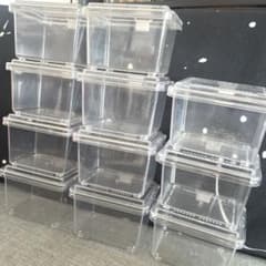 クワbox ms2 昆虫飼育ケース クリアケース 11個セット クワガタ - メルカリ
