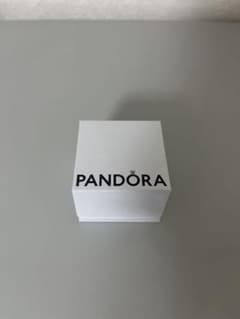 PANDORA ギフトボックスのサムネイル