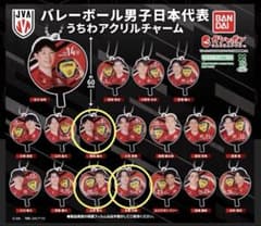 バレーボール男子日本代表 うちわアクリルチャーム 全18種セット バレーボール男子日本代表 うちわアクリルチャーム｜ガシャポン