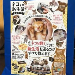 ネコとの新生活完全ガイド　LDK 雑誌のサムネイル