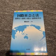 国際社会と法 国際法 国際人権法 国際経済法 横田洋三 編のサムネイル