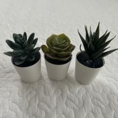 IKEA フェイクグリーン 多肉植物 3点セット ホワイトポットのサムネイル