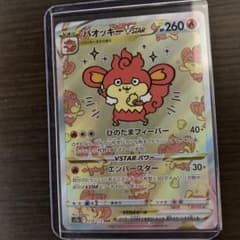バオッキーvstar sarのサムネイル
