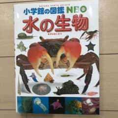 水の生物のサムネイル