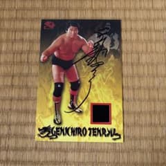 天龍源一郎 直筆サイン入り コスチュームカード - メルカリ