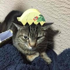 ゆら様専用のサムネイル