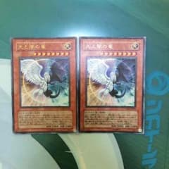 光と闇の竜のサムネイル