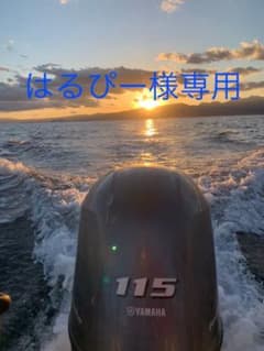 はるぴー様専用のサムネイル
