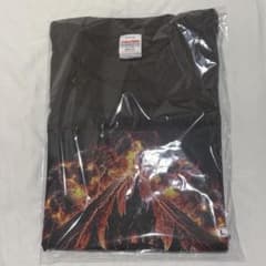 ONE N'ONLY ワンエン INFERNO Tシャツ チャコール L - メルカリ