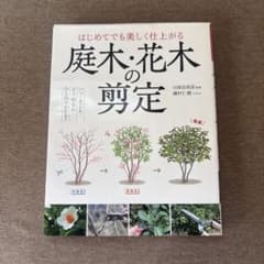 ★はじめてでも美しく仕上がる庭木・花木の剪定★川原田邦彦のサムネイル