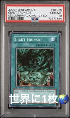 世界に1枚】 遊戯王 ハリケーン 韓亜版 PSA10 SD16-AE025 - メルカリ