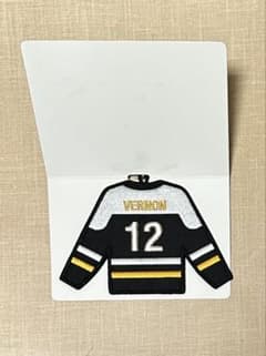 SEVENTEEN 公式グッズ バーノン ワッペン 8点セット SEVENTEEN 公式グッズ バーノン ワッペン 8点セット セブチ バーノン