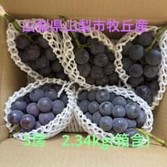 h*o様 新鮮 巨峰5房入りのサムネイル