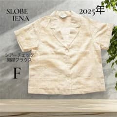 【極美品】SLOBE IENA シアーチェック開襟ブラウス FREE 2025のサムネイル