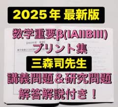 2025年 最新】駿台 テキスト 三森司 数学重要β 鉄緑会 河合塾 代ゼミ
