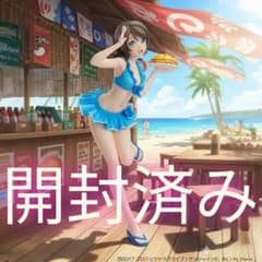 開封済み サマークイーンズ ラブライブサンシャイン 渡辺曜 完成 
