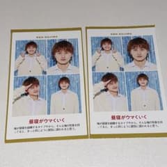 TVガイド 証明写真 Aぇ! group 小島健 2枚セット - メルカリ