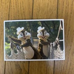 東京ディズニーリゾート　カレンダー　2019 ポストカード　チップとデールのサムネイル