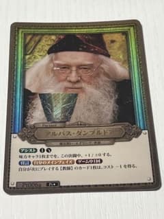 ハリーポッター アルバス ダンブルドア Pt006a パラレルのサムネイル