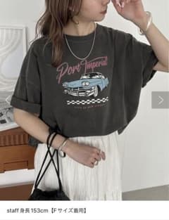 ピグメントカープリントTのサムネイル
