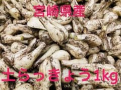 宮崎県産　土らっきょう1kgのサムネイル